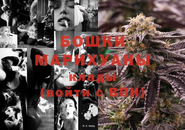 гашик Михайловск