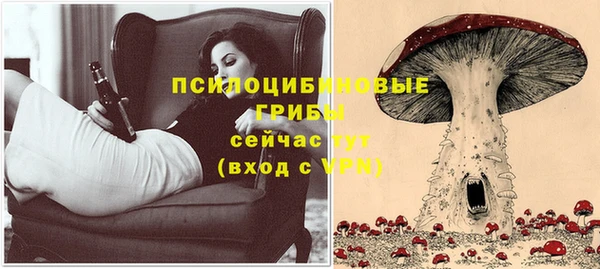 гашиш Надым