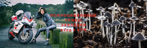 соль ск Михайлов