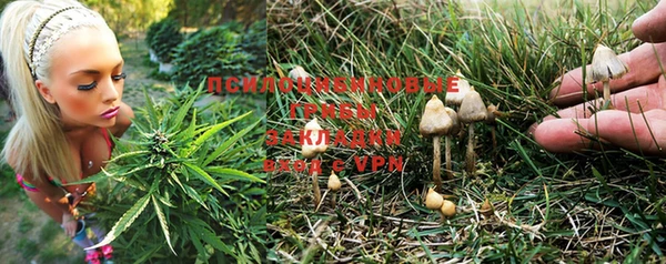 винт Михайловка