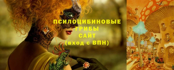 винт Михайловка