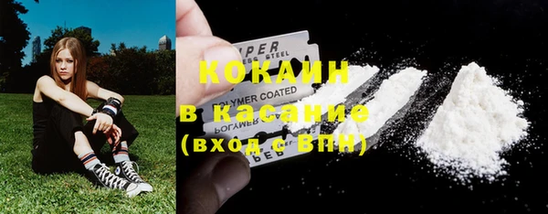 соль ск Михайлов