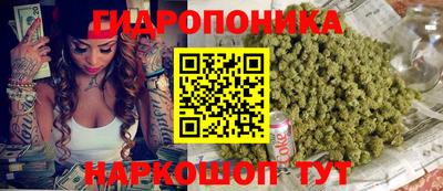 PSILOCYBIN Канаш