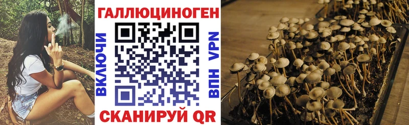 Псилоцибиновые грибы мухоморы  Сокол 