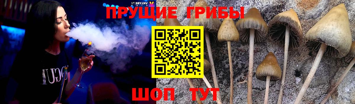 Сокол  Галлюциногенные грибы Magic Shrooms  Вход с VPN  Галлюциногенные грибы Magic Shrooms 
